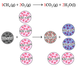 反應質量 30310-J30