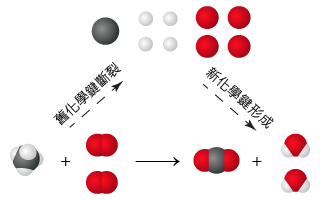化學反應式 30311-J29